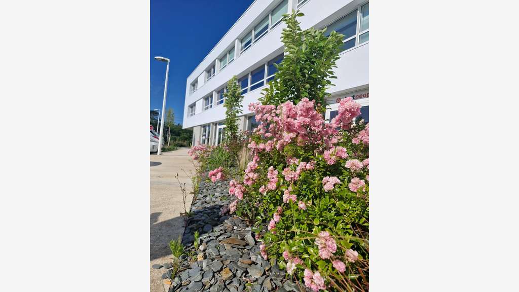 A louer local commercial  170m² Vannes Ouest
