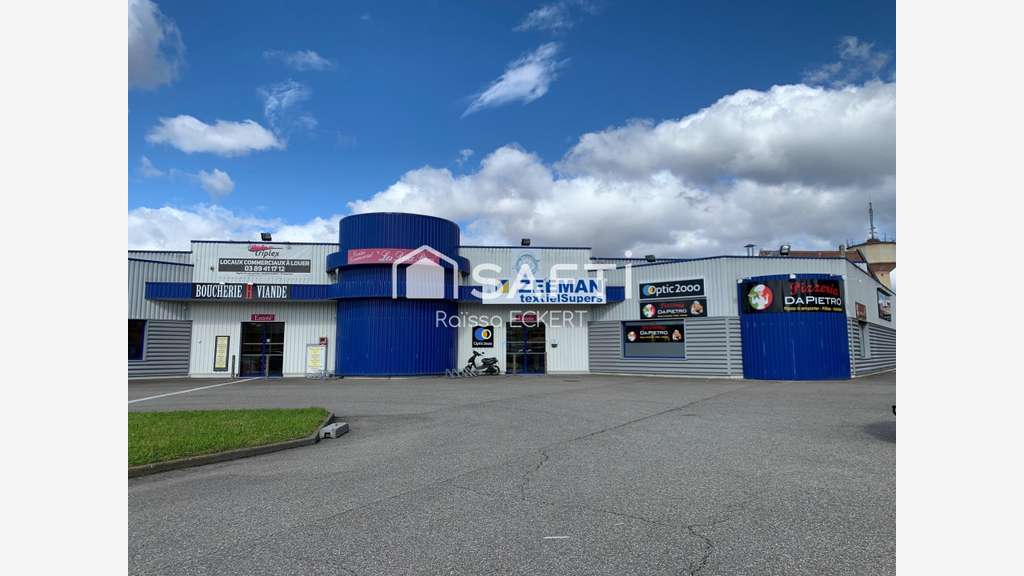 AV local commercial 392m² Volgelsheim accès direct
