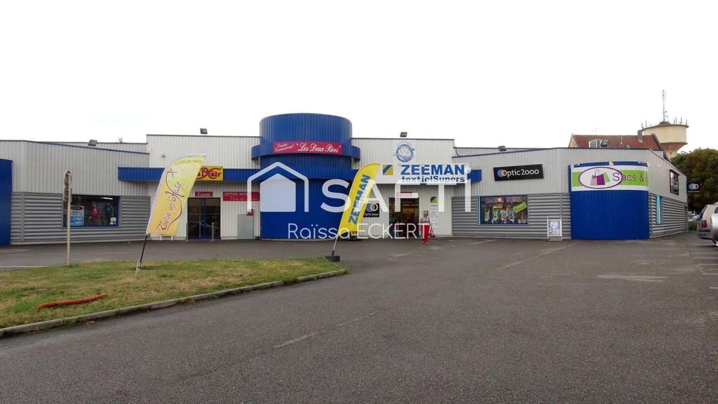 AV local commercial 392m² Volgelsheim accès direct