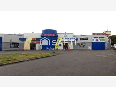 AV local commercial 392m² Volgelsheim accès direct