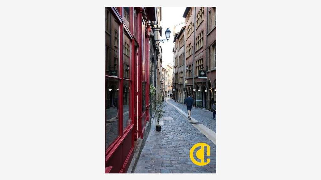 Local commercial à louer à Lyon 7ème 