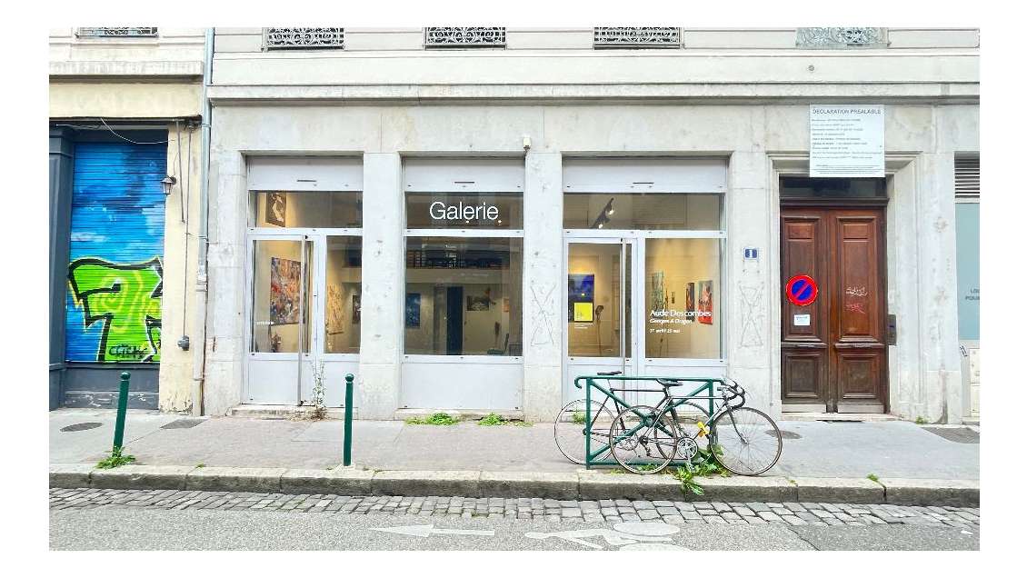 A louer local commercial à Lyon 7ème 