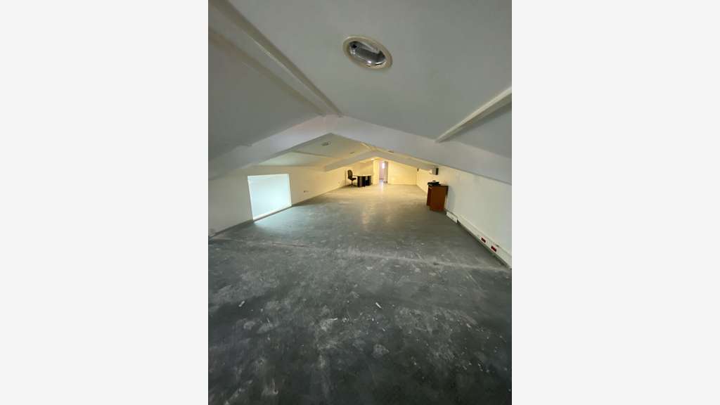 A louer local professionnel 90m² ZF de Dillon FDF