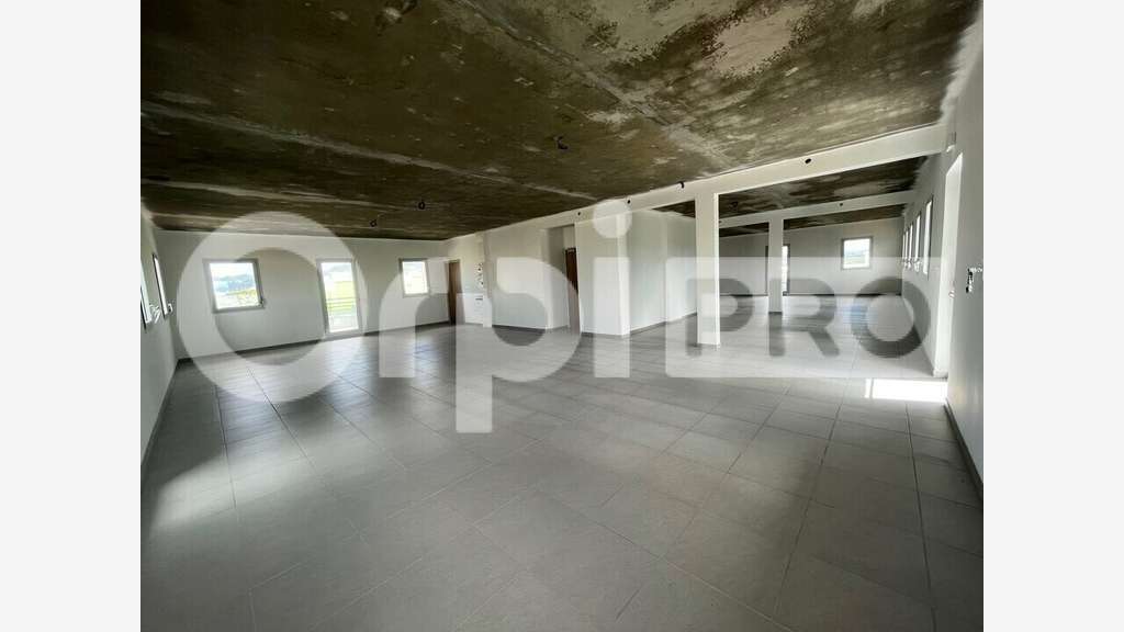 Local 48m² à louer au Lamentin Palais des Sports