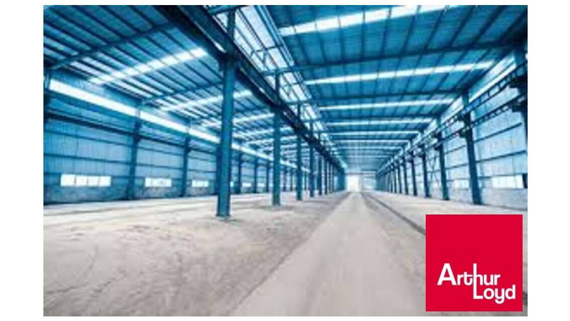 Loue entrepôt de 9000m² en zi de St Jean de Luz