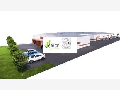 Location cellule 360m² à St Sulpice de Royan