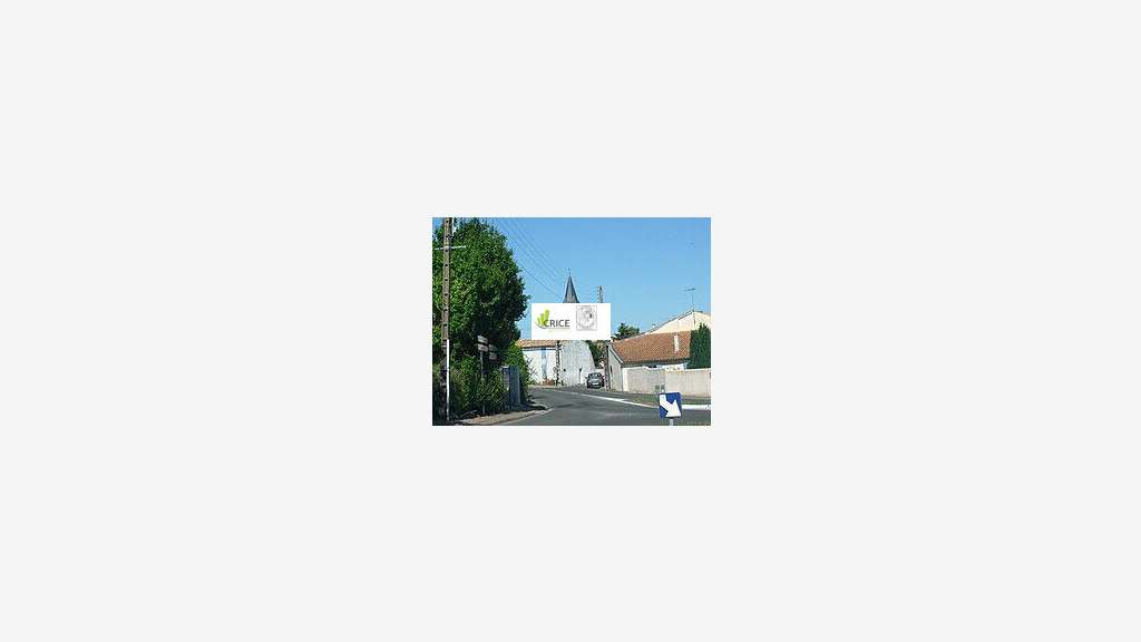 A louer local commercial 47m² + cave Arvert centre
