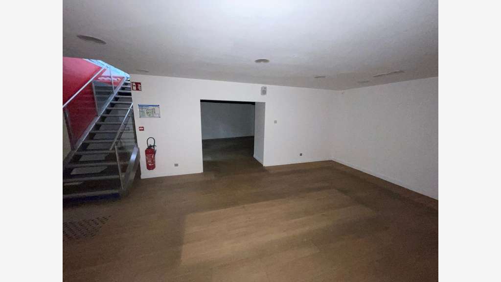 Local de 213m² à louer rue de la République Lyon 2