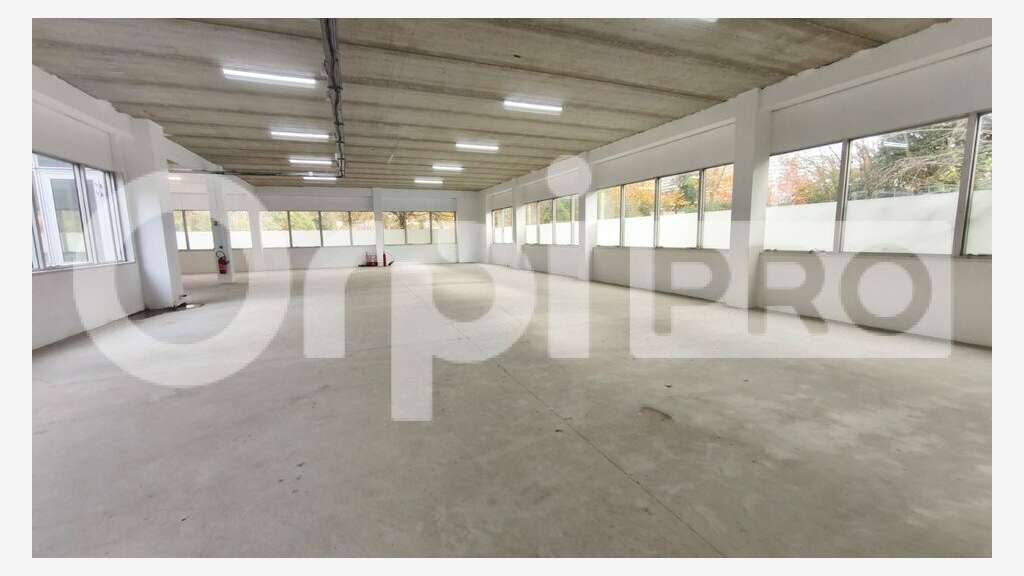 A louer local 1045m² ZA Courtaboeuf