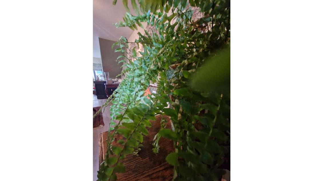 Superbe local commercial 115m² au centre de Vannes