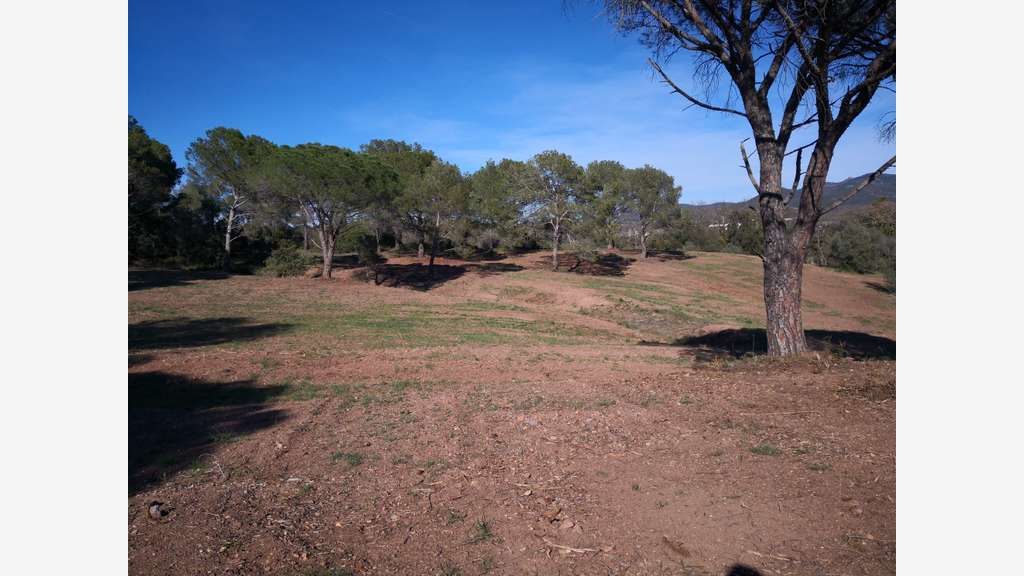 A louer locaux neufs à construire à Fréjus