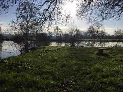 A louer site de 24 hectares au Lude