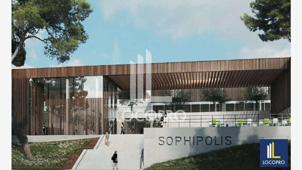 Loue bureaux divisibles 1556m² à Sophia-Antipolis