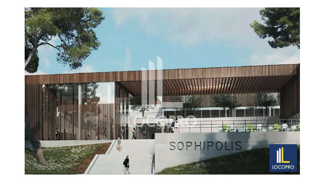 Loue bureaux divisibles 1556m² à Sophia-Antipolis