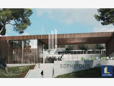 Loue bureaux divisibles 1556m² à Sophia-Antipolis