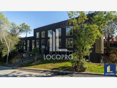 Bureaux neufs de 1028m² à louer à Sophia Antipolis