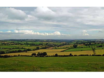 Location Terrains industriels et agricoles à Petit-Couronne