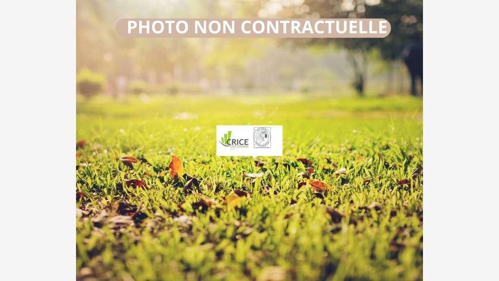 A louer terrain nu 6800m² à Saujon