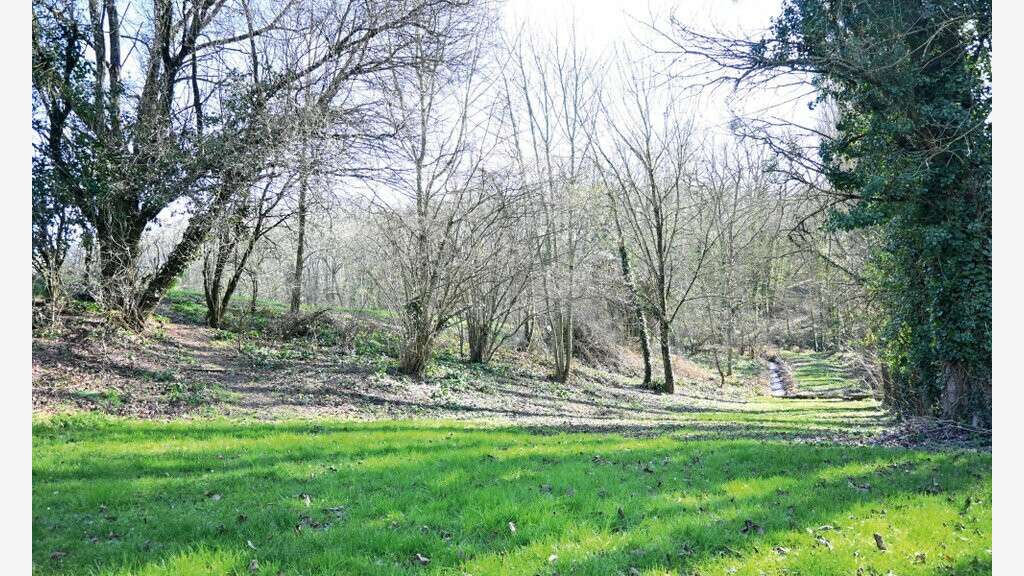 A louer terrain 8.5ha avec étang à Châtellerault