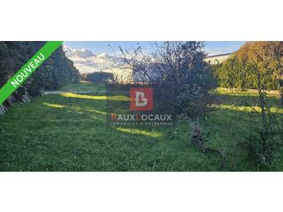 Location Terrains industriels et agricoles à Carpentras