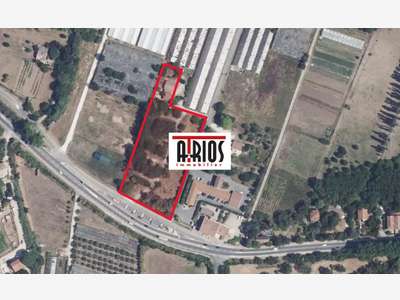Loue terrain de 7500m² dont bati 110m² à la Crau
