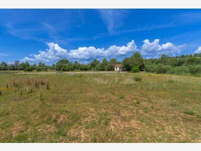 A louer terrain constructible à Saint-Junien