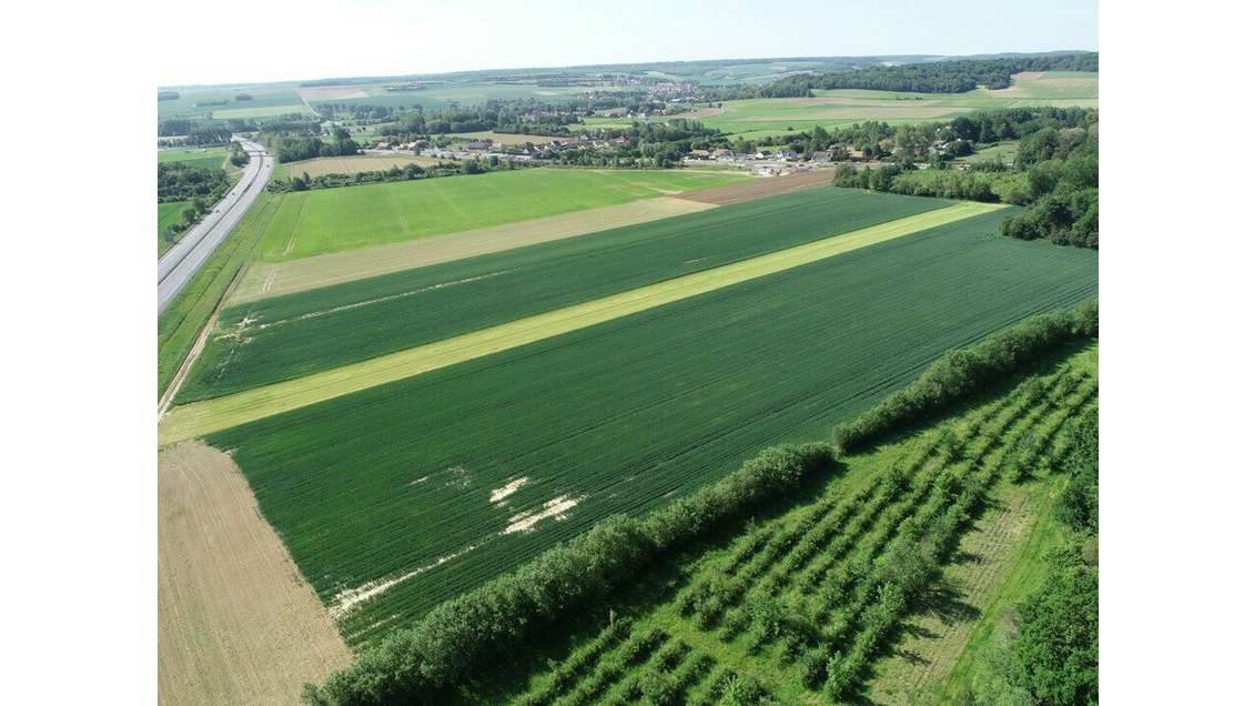 ZOUAFQUES - à louer