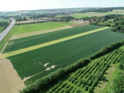 Location Terrains industriels et agricoles à Zouafques