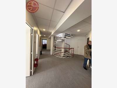 Loue bureaux atypiques 340m² Toulouse Sept Deniers
