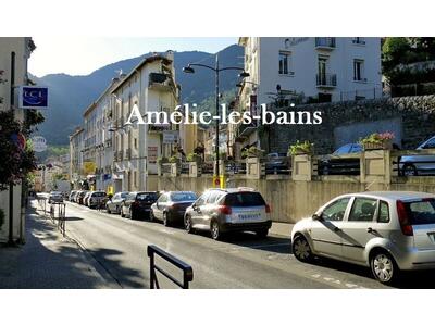 Vente Immeubles commerciaux / Mixtes à Amélie-les-Bains-Palalda
