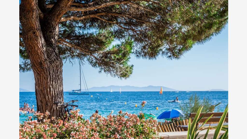 Local commercial à vendre au Golf de Saint-Tropez