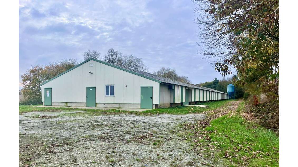 Vente bâtiment avicole de 1 200m² à Saint Aignan