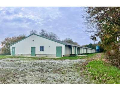 Vente Locaux d'activités - Entrepôts à Saint-Aignan