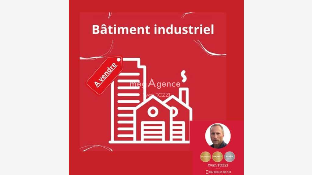 Vente local industriel ZA les Plesses au Château 