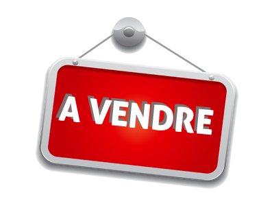 Vente Locaux d'activités - Entrepôts à L'Île-Bouchard