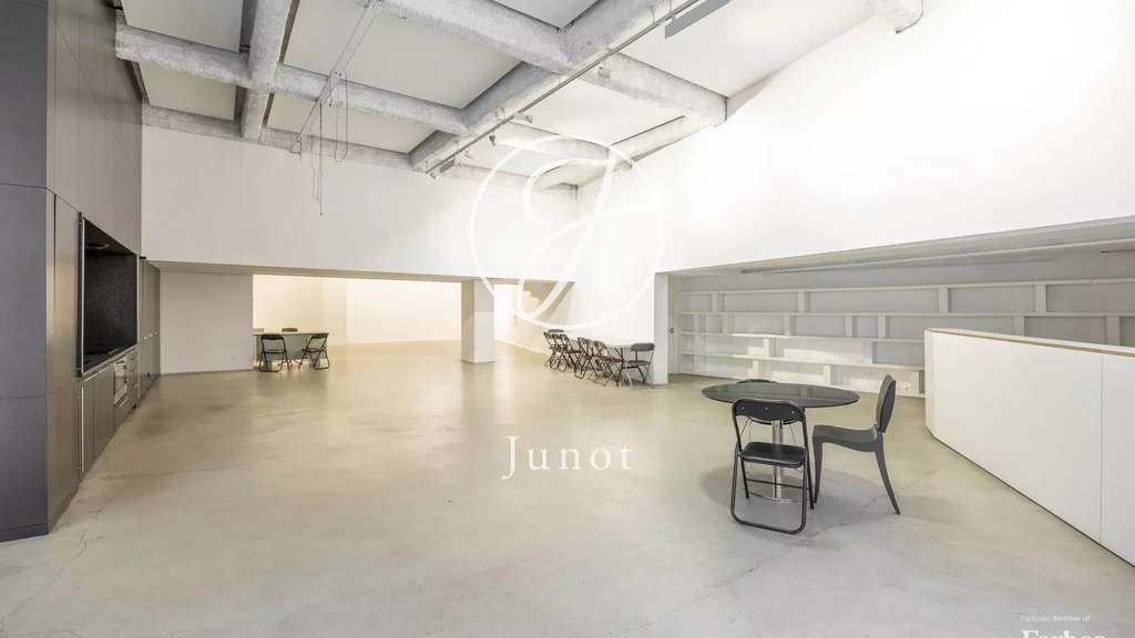 Loft usage mixte Paris 19e Faubourg du Temple