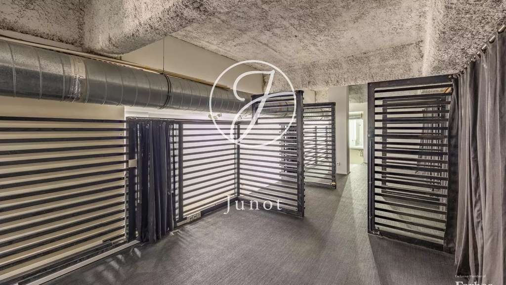 Loft usage mixte Paris 19e Faubourg du Temple
