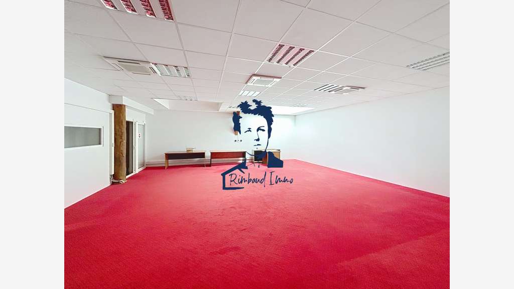 AV locaux professionnels 700m² Remilly-Aillicourt