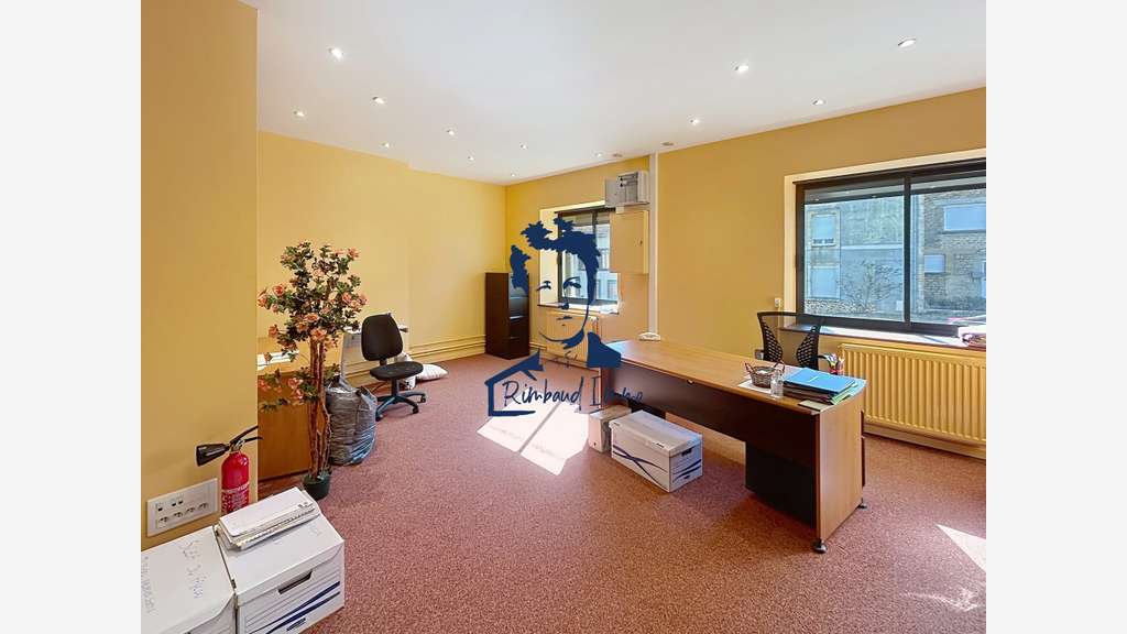 AV locaux professionnels 700m² Remilly-Aillicourt