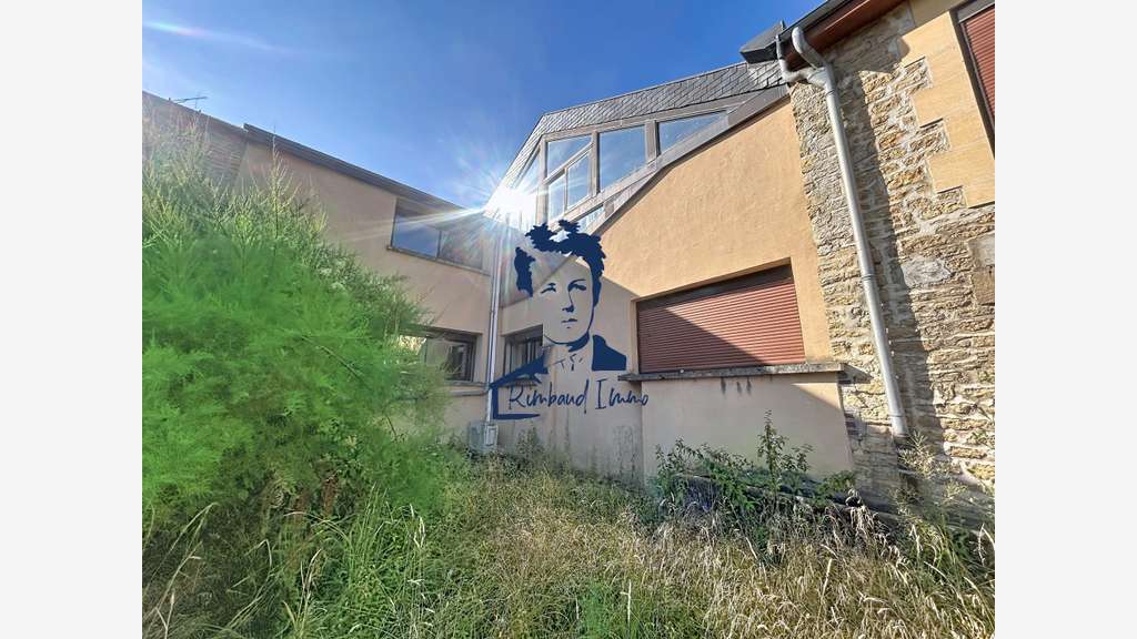 AV locaux professionnels 700m² Remilly-Aillicourt