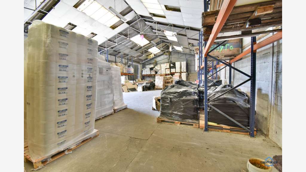 Vente ensemble pro de 1219m² Saint Romain sur Cher