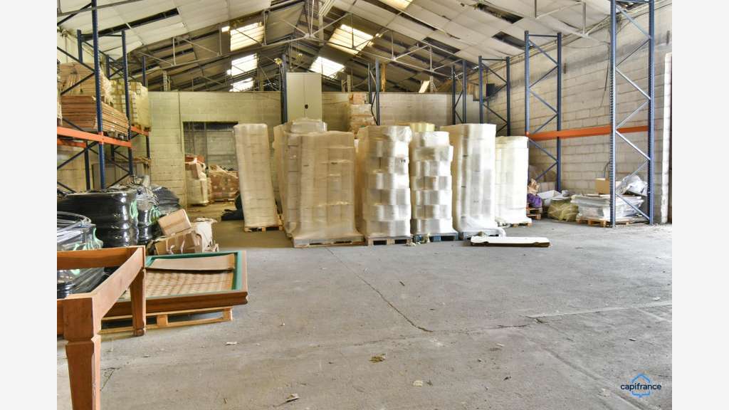 Vente ensemble pro de 1219m² Saint Romain sur Cher