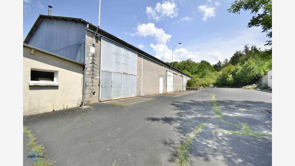 Vente ensemble pro de 1219m² Saint Romain sur Cher