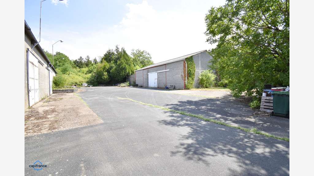 Vente ensemble pro de 1219m² Saint Romain sur Cher