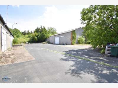 Vente ensemble pro de 1219m² Saint Romain sur Cher