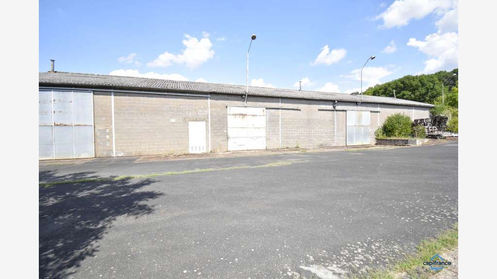 Vente ensemble pro de 1219m² Saint Romain sur Cher