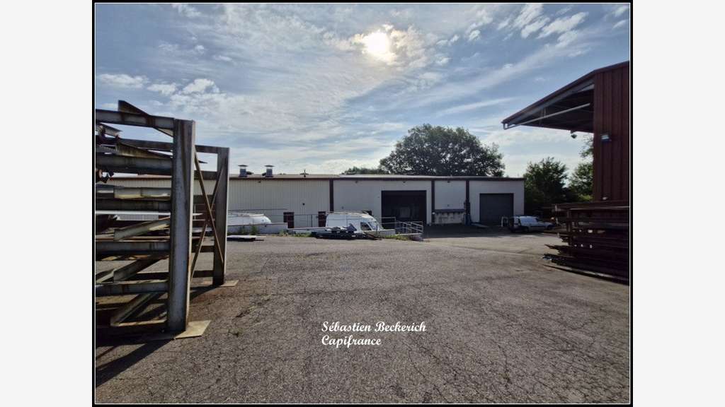 Hangars et bureaux à vendre à Altrippe (57)