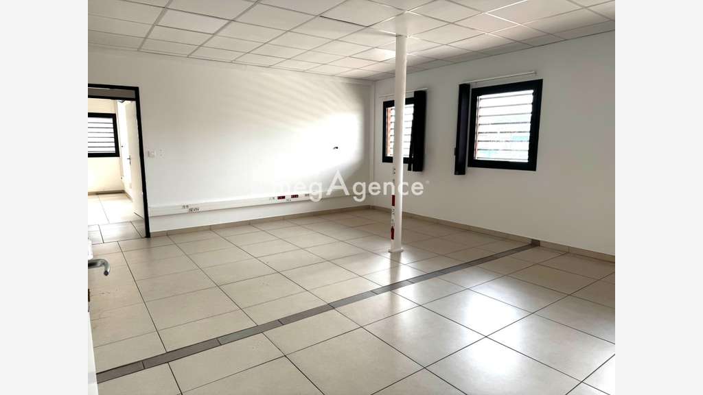 Immeuble a usage commercial et professionnel ZI