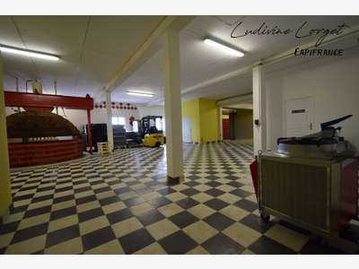 A vendre local professionnel loué sur Épernay