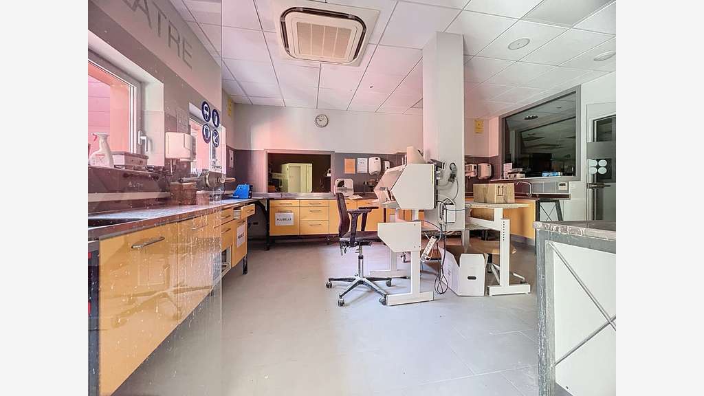 Vente bâtiment récent 579m² ZA Erstein